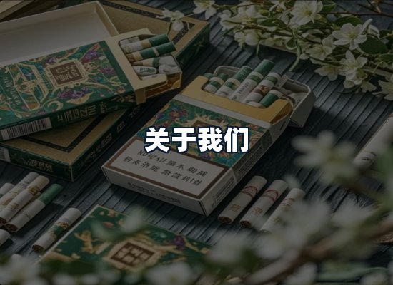 关于我们